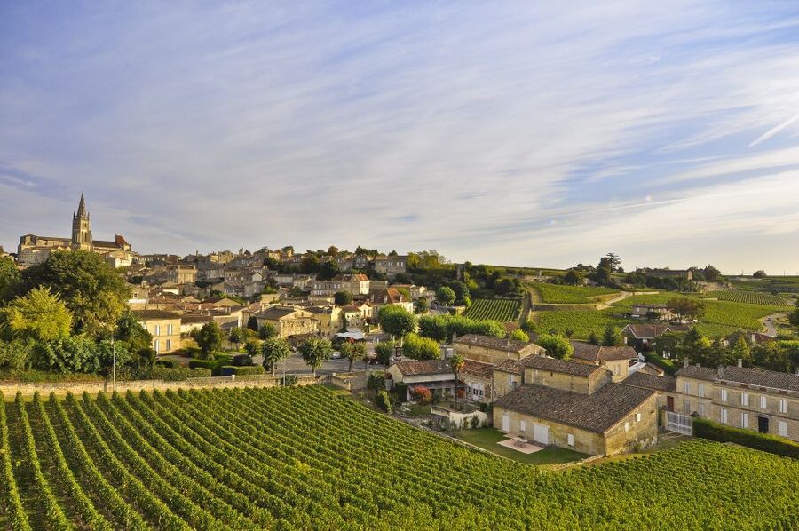 Bordeaux: Vineyards Wine Tasting Half-Day Trip - The coach ride is part of the lesson