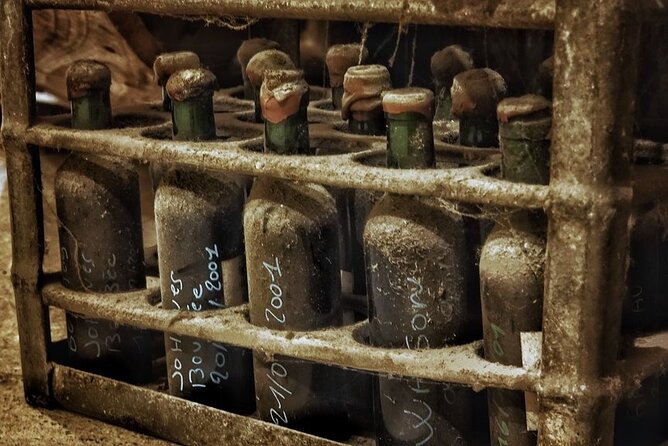 Bordeaux Wine and Trade Museum Admission Ticket with Wine Tasting - Small details that improve the visit