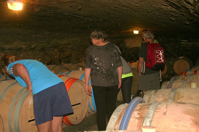 Burgundy Bike Tour with Wine Tasting from Beaune - Key points to know before booking