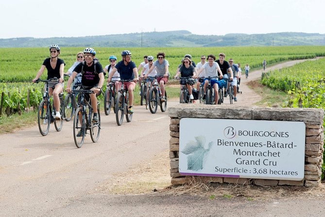 Burgundy Bike Tour with Wine Tasting from Beaune - Domaine Famille Picard and the old wine cellars