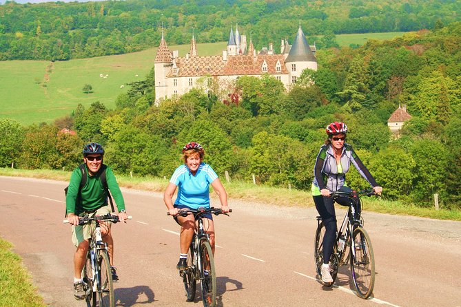 Burgundy Bike Tour with Wine Tasting from Beaune - The afternoon tasting around Pommard, Volnay, or Meursault