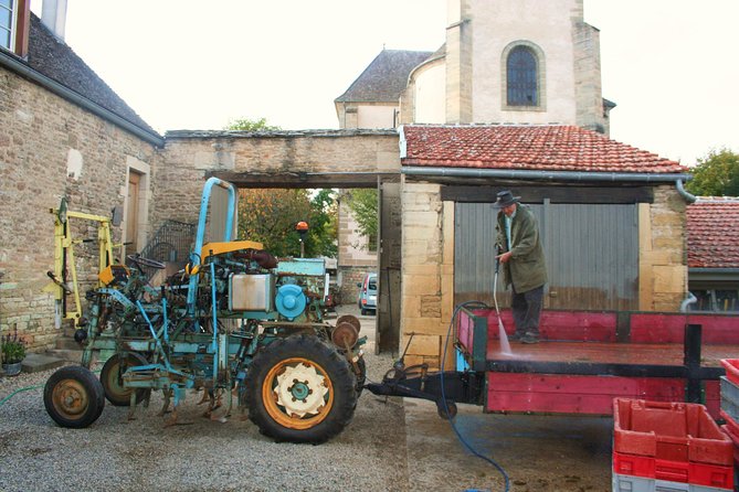 Burgundy Bike Tour with Wine Tasting from Beaune - The guides make or break the experience