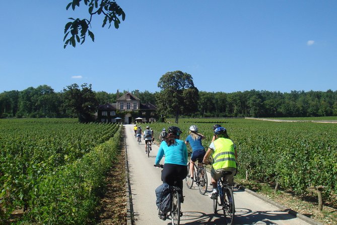 Burgundy Bike Tour with Wine Tasting from Beaune - Weather, comfort, and the pace of the day