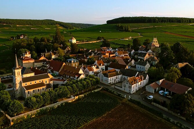 Burgundy Grand Crus Route Day Tour - 14 Wines Tastings in Domains - Tasting around Nuits-Saint-Georges