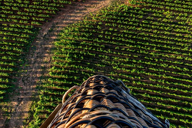 Burgundy Hot-Air Balloon Ride from Beaune - Sunrise over the Côte de Beaune
