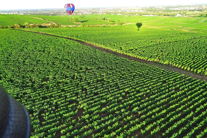 Burgundy Hot-Air Balloon Ride from Beaune - Champagne, wine, and the return to Pommard