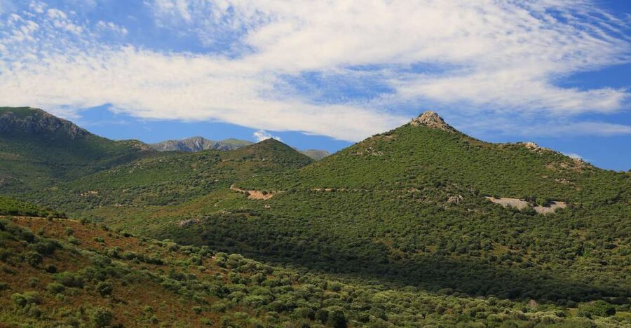 Calvi: Asco Valley 4x4 Day Tour with Guide - Key points to know before you book