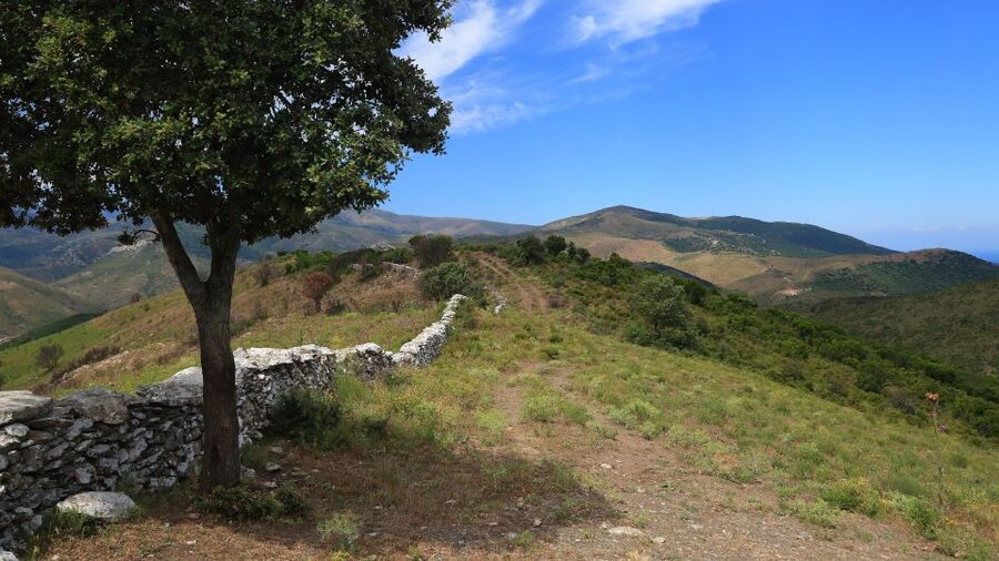 Calvi: Asco Valley 4x4 Day Tour with Guide - Why the Asco Valley makes a fine day from Calvi