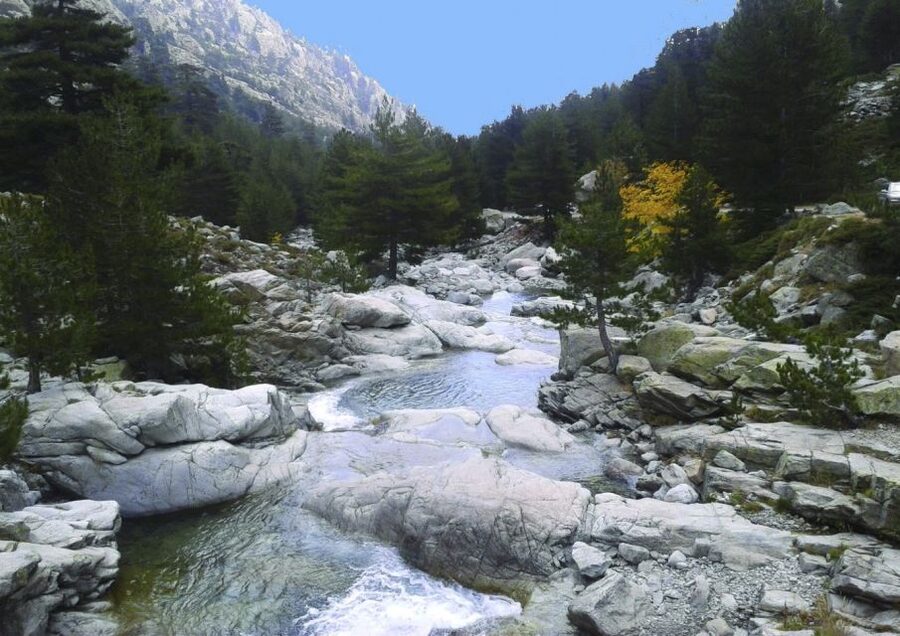 Calvi: Asco Valley 4x4 Day Tour with Guide - Food, timing, and the nine-hour schedule