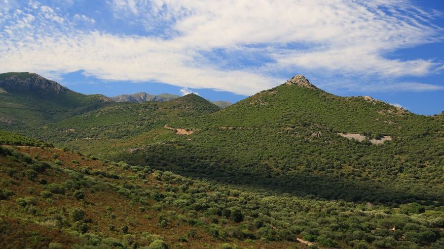 Calvi: Asco Valley 4x4 Day Tour with Guide - Is $123 good value?