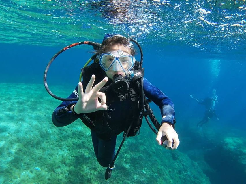 Calvi: Introduction to Diving Dive with an Instructor - Meeting at Port de Plaisance