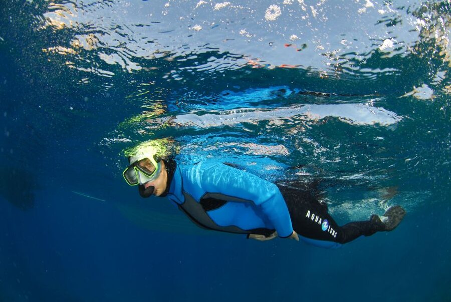Calvi: Pointe de la Revellata Snorkeling Boat Tour - A closer look at the 150-minute schedule