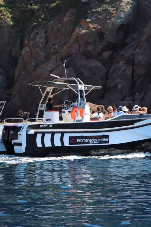 Calvi: Scandola and Girolata 6-Hour Boat Tour - Why this Calvi boat trip earns its price
