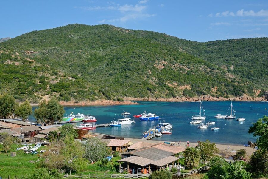 Calvi: Scandola and Girolata 6-Hour Boat Tour - Starting at Calvi’s port