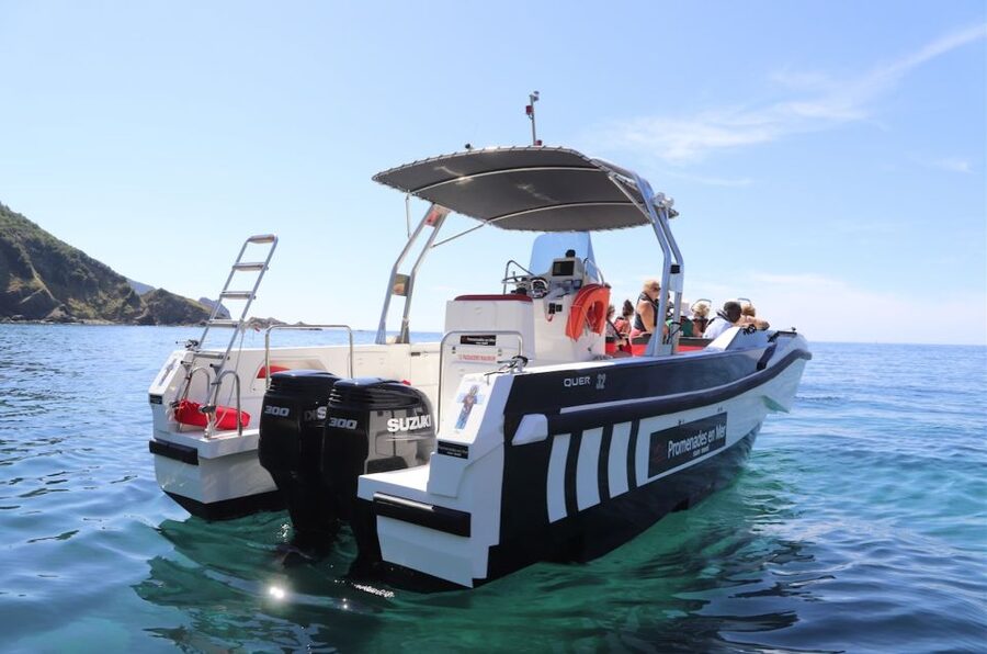 Calvi: Scandola and Piana Guided Boat Tour - The Calanches of Piana and the swimming stop