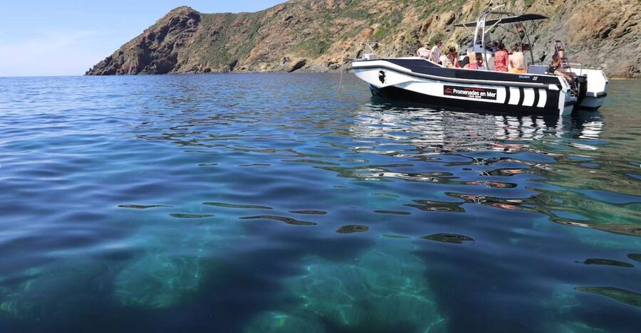 Calvi: Scandola and Piana Guided Boat Tour - What the guide adds to the experience