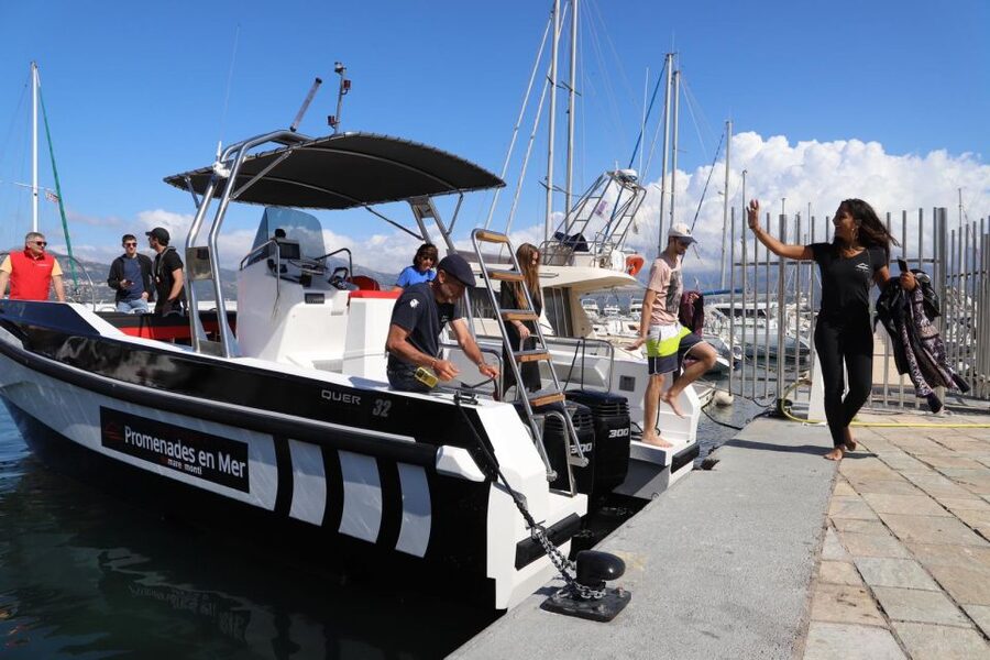 Calvi: Scandola and Piana Guided Boat Tour - Who should book this Calvi boat tour?