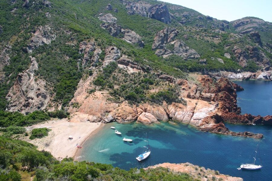 Calvi to Scandola: 4-Hour Boat Tour - A swim stop before Scandola