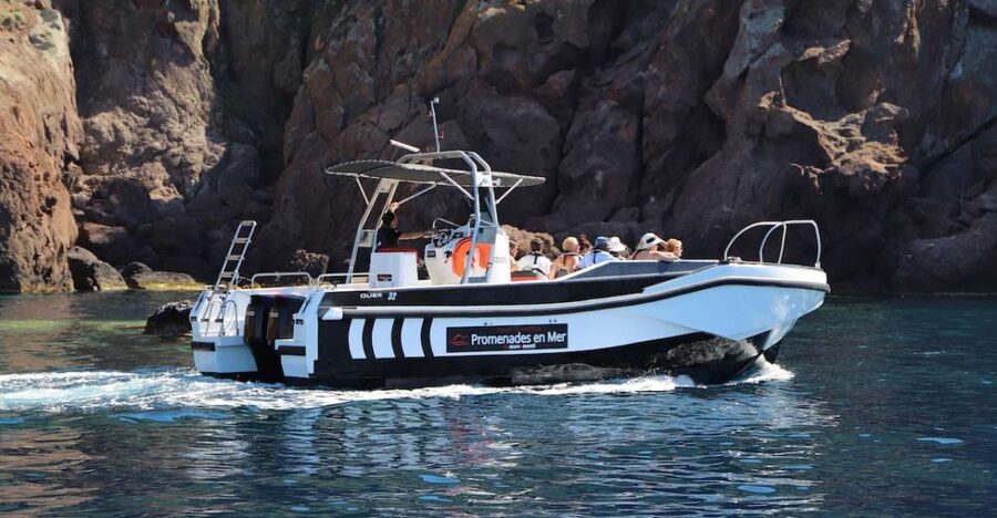 Calvi to Scandola: 4-Hour Boat Tour - Caves, cliffs, and the art of a slow cruise