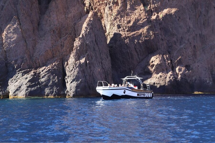 Calvi to Scandola: 4-Hour Boat Tour - Who should book this boat trip
