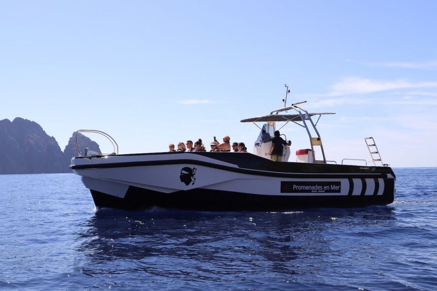 Calvi to Scandola: 4-Hour Boat Tour - Is the Calvi to Scandola tour worth booking?