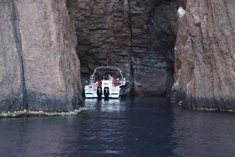 Calvi to Scandola: 4-Hour Boat Tour - Entering the UNESCO reserve at water level