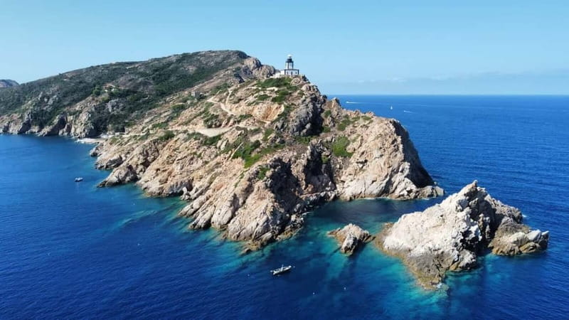 Calvi: Underwater journey at the edge of a natural reserve - Key points to know before booking