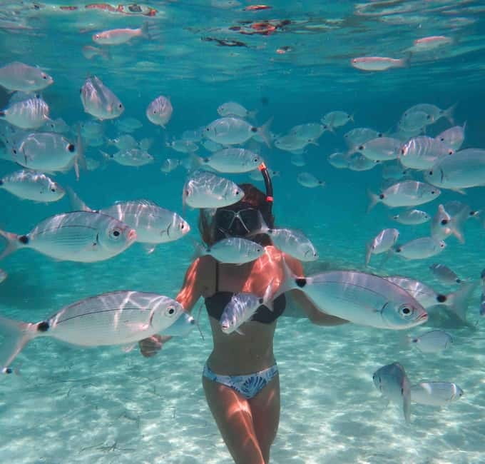 Calvi: Underwater journey at the edge of a natural reserve - Starting at Le Thalassa in Calvi harbor