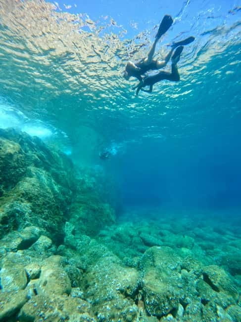 Calvi: Underwater journey at the edge of a natural reserve - What you may see below the surface