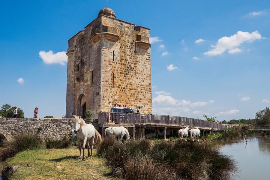 Camargue: Half-Day 4x4 Guided Safari Adventure - Aigues-Mortes adds a medieval town to the wetlands
