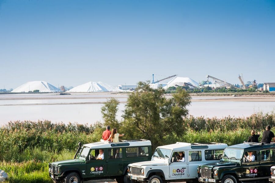 Camargue: Half-Day 4x4 Guided Safari Adventure - Choosing the right season and packing smart