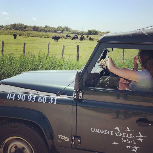 Camargue: Safari from Saintes-Maries-de-la-Mer - Riding the convertible 4x4