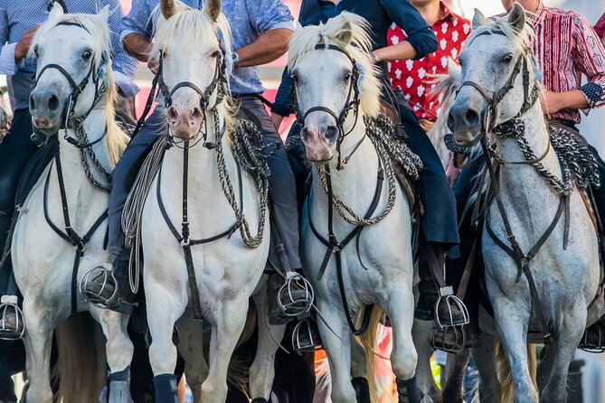 Camargue Small-Group Day Trip from Avignon - Why the Camargue makes a worthwhile day trip