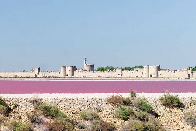 Camargue Small-Group Day Trip from Avignon - Who should book this Camargue day trip?