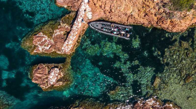 Cannes: 2.5-Hour Esterel Calanques Boat Excursion - Why the Esterel coast is best seen from the water