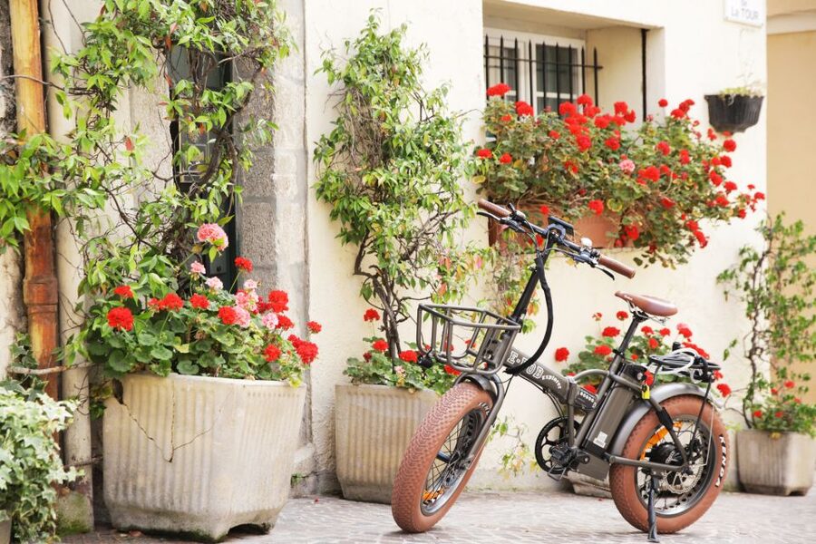 Cannes 2-Hour E-bike Tour - La Croisette and the famous waterfront