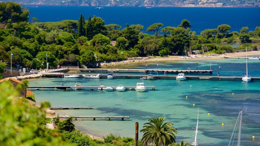 Cannes: Private Boat Trip to Lerins Islands & Cap d'Antibes - Swimming, snorkeling, and paddleboarding