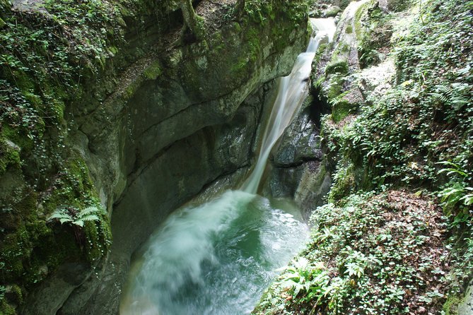 Canyoning discovery 3h in Aix les bains / Chambéry: Ternèze - Who should book Ternèze
