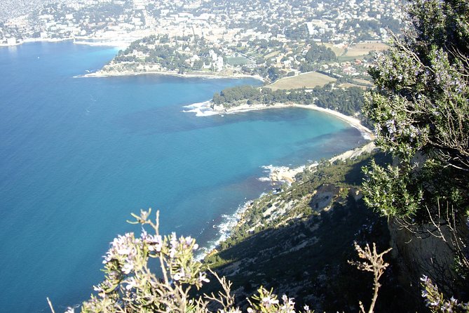 Cassis Half-Day Trip from Aix-en-Provence - What the $96.75 price really buys you