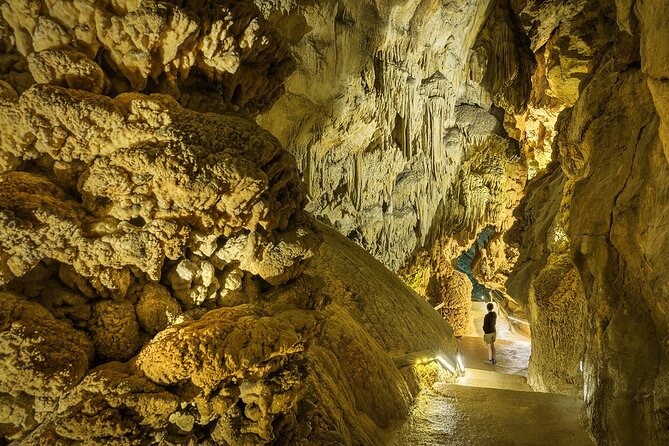 CAVES of CERDON and Prehistoric Leisure Park - Entrance ticket - What happens at the Grottes du Cerdon