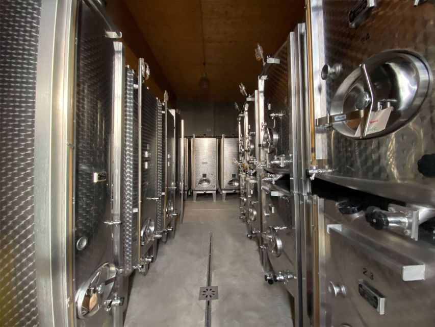 Cellar visit and Alsace wine tasting with a feminine touch - Choosing seven wines from more than 20 bottles