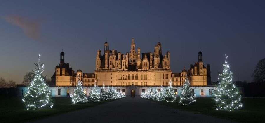 Chambord: Entry Ticket to the Castle - The double-helix staircase is the star