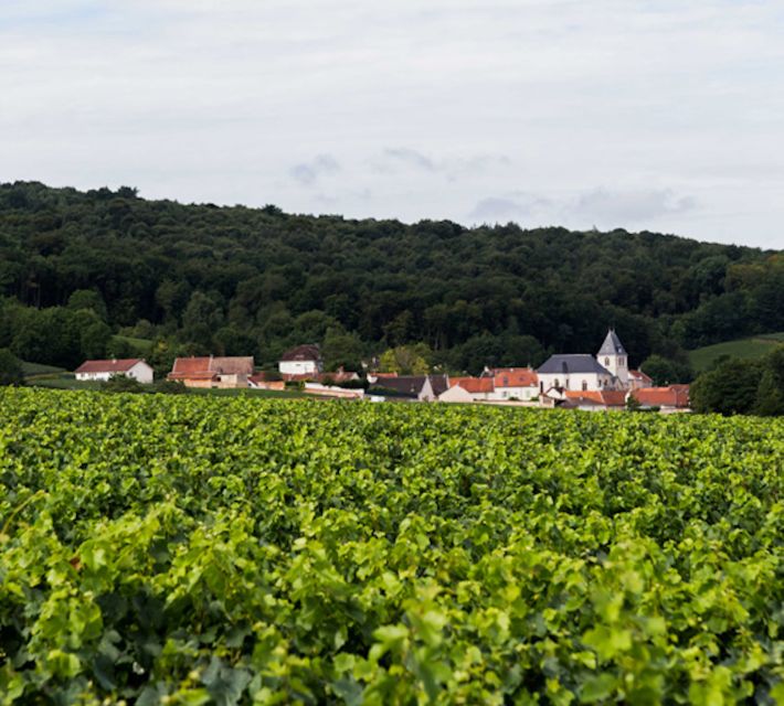 Champagne: Canard-Duchêne Champagne House Tour - Practical details that affect your visit
