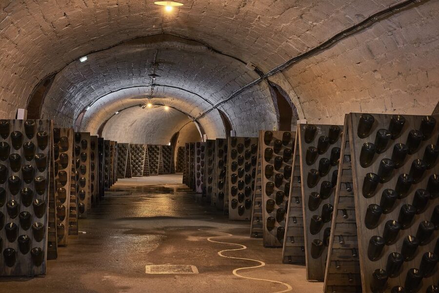 Champagne: Canard-Duchêne Champagne House Tour - Who will enjoy this Canard-Duchêne visit?