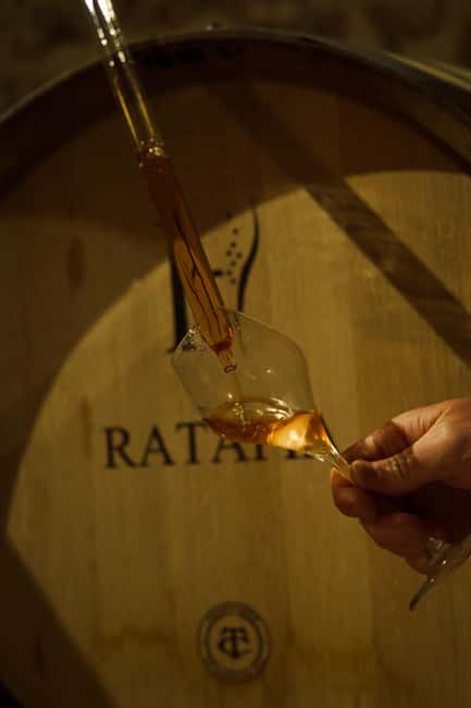 Champagne Cellar Experience: Explore our historic cellars - What happens at 8 Rue de la Fontaine