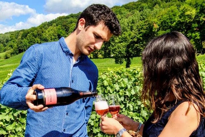 Champagne Day Trip from Paris with 8 Tastings & Lunch - Learning the three grapes between the vineyards