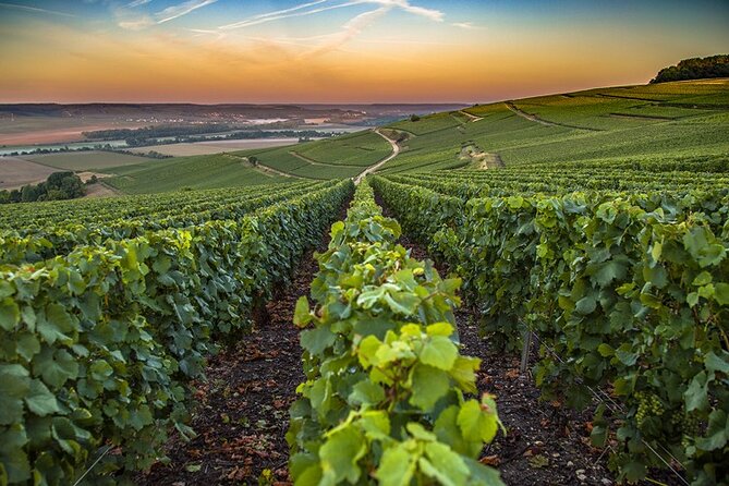 Champagne Day Trip from Reims including 9 Champagne Tastings - Épernay and the Avenue de Champagne