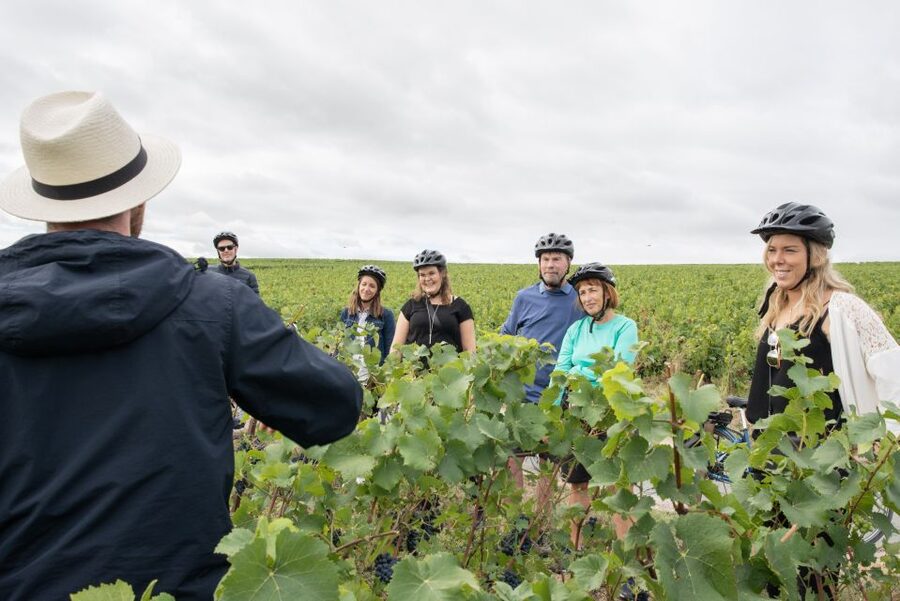 Champagne: E-Bike Champagne Day Tour with Tastings and Lunch - Who should book this day in Champagne?