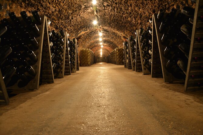 Champagne experience with a vintage van from Epernay - 3 hours - A closer look at Aÿ-Champagne and the vines