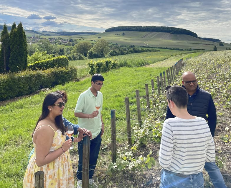 Champagne Munoz Bruneau : Half Day Visit and Tasting - Who should book this Champagne tour?